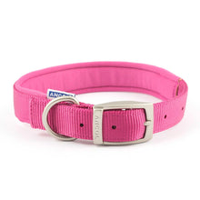 Ancol Padded Nylon Buckle Adjustable Dog Collar 45-65cm-AK Pet Supplies Ltd
