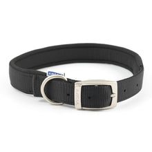 Ancol Padded Nylon Buckle Adjustable Dog Collar 45-65cm-AK Pet Supplies Ltd