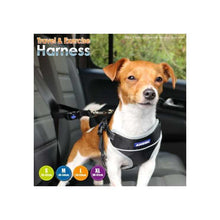 Ancol Travel and Exercise Harness Padded Chest for Car Restraint-AK Pet Supplies Ltd