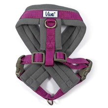 Ancol Viva Padded Dog Harness With Reflective Band Fleece Padding Five Sizes-AK Pet Supplies Ltd