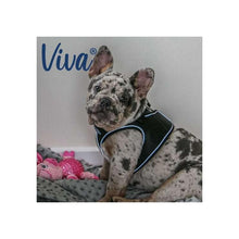 Ancol Viva Step In Dog Harness Reflective Mesh Adjustable Fit Snap Buckle-AK Pet Supplies Ltd