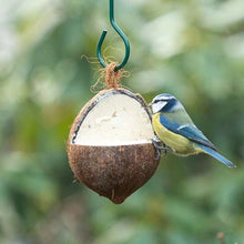 Extra Select Coconut Bird Feeder With Mealworms For Wild Birds Yearround-AK Pet Supplies Ltd