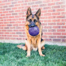 KONG Flexball Interactive Dog Toy Durable Rubber Ball For All Sizes Keeps Dogs Entertained For Hours-AK Pet Supplies Ltd