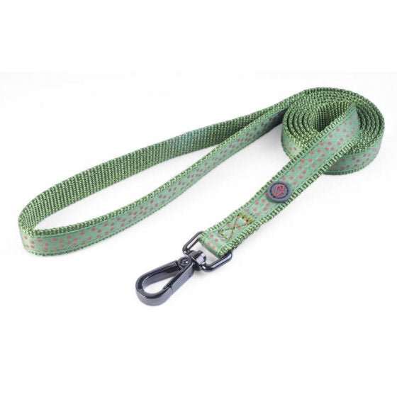 Zoon WalkAbout Green And Red Polka Dot Dog Lead Made With Premium Nylon Webbing For Durability-AK Pet Supplies Ltd